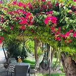 Casita Limon Andratx