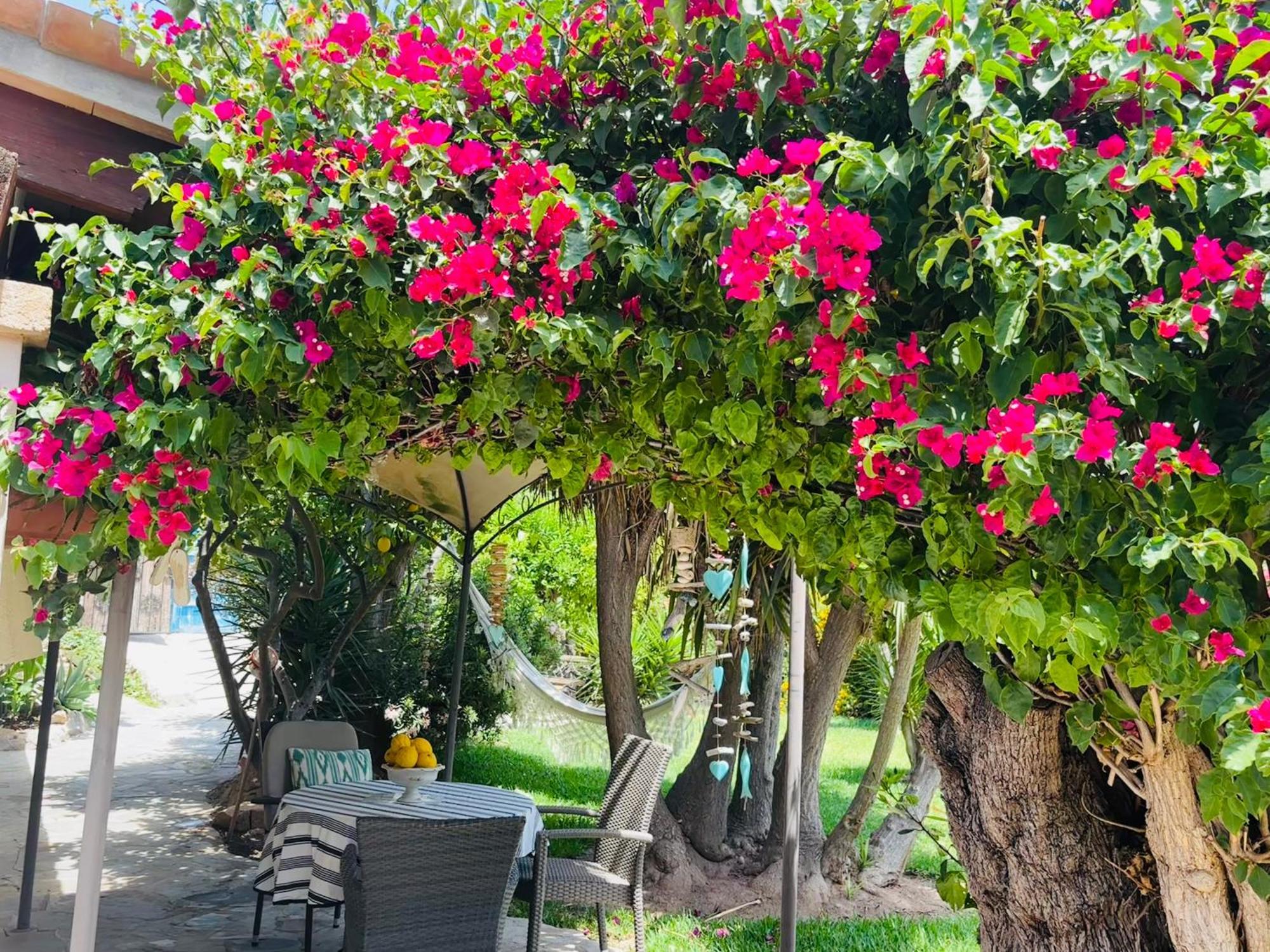 Casita Limon Ferienhaus Andratx